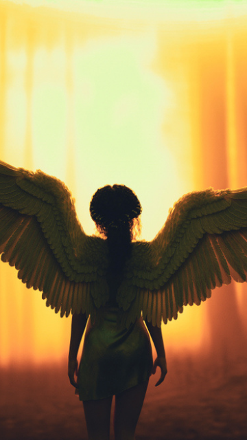翼を広げた天使の画像